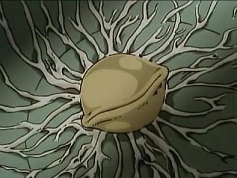 The pot filled with desire