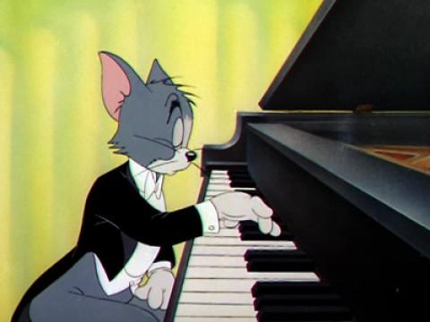 The Cat Concerto