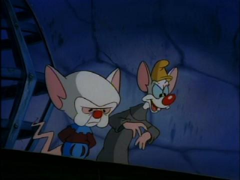 Pinky and the Brain Pinky and the Brain S02 E014 Brain of the Future -  video Dailymotion