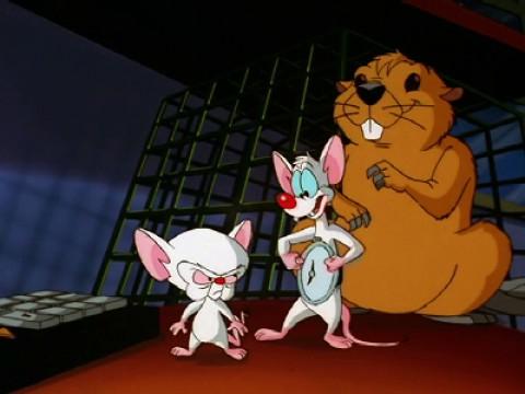 Pinky and the Brain': Now Is the Perfect Time for a Movie