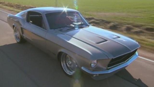 Fast Forward Fastback