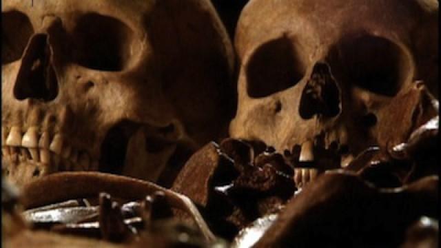 The Mystery of the Black Death