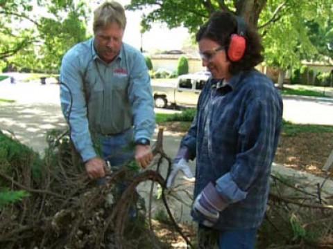 Removing Shrubs; Extension Cords; Drain Pop-Up