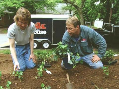 Groundcover Planting; Opening Stuck Windows