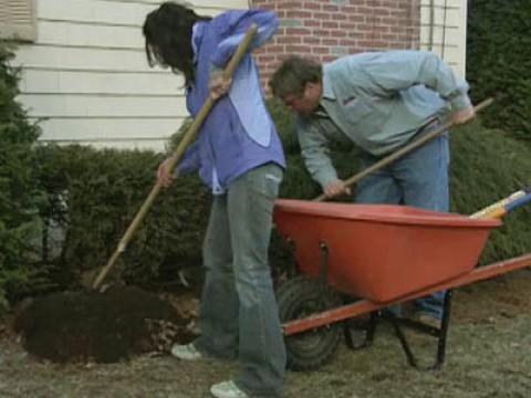 Mulching; Sash Weights