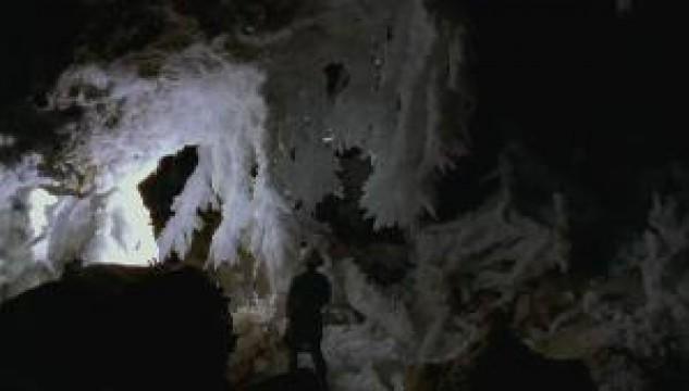 The Secret Life Of Caves