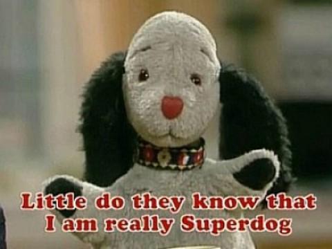 Sweep Superdog