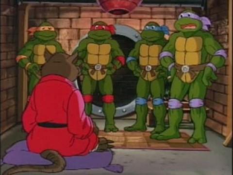 The Turtles - A Ninjatastic Look Back