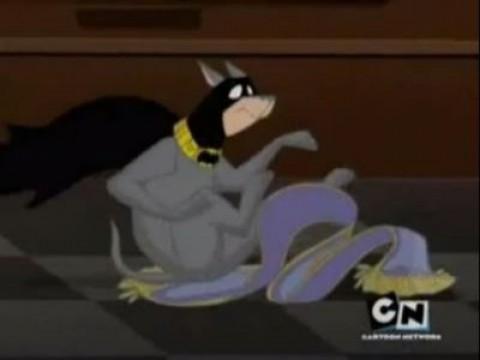 Bat Hound's Bad Luck