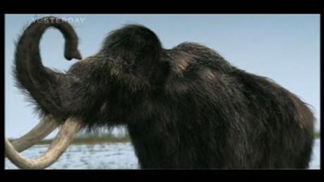 Ice Age