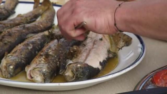 Beyond River Cottage (6)