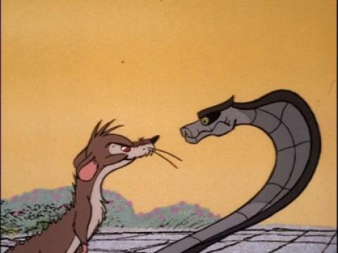 Rikki Tikki Tavi