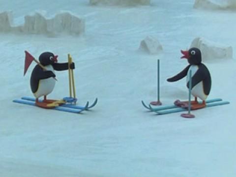 Pingu the Cross Country Skier