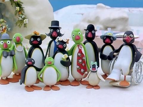 Pingu at the Wedding Party