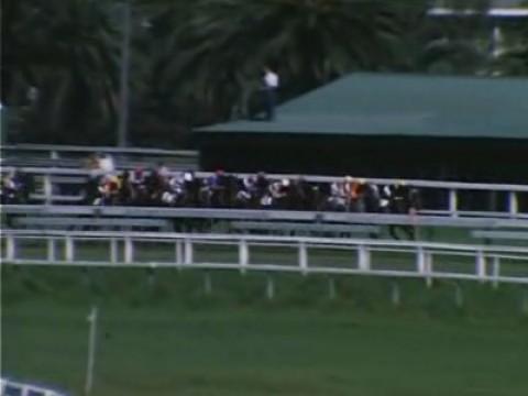 The Sport of Kings