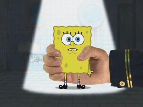 Model Sponge