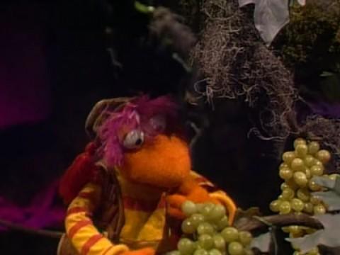 The Grapes of Generosity