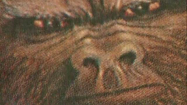 Mad Elephants, Biblical Lions, Yowie