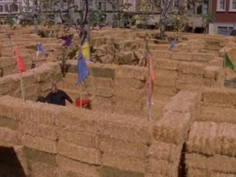 Hay Bale Maze