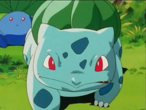 Bulbasaur and the Hidden Village