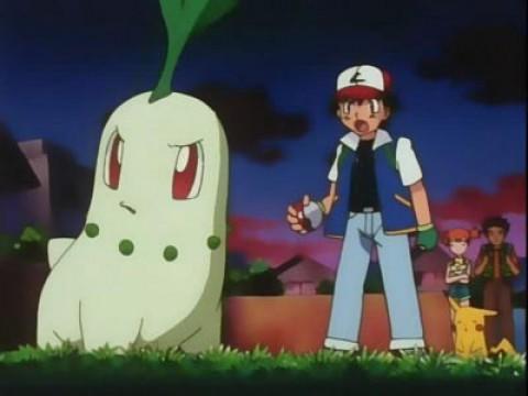 Chikorita's Big Upset