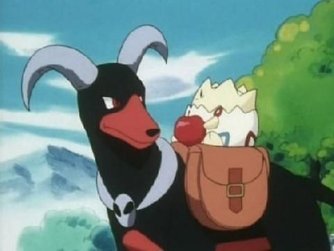 Houndoom's Special Delivery