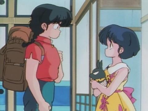 I Love You, Ranma! Please Don't Say Goodbye