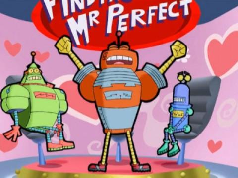 Designing Mr. Perfect