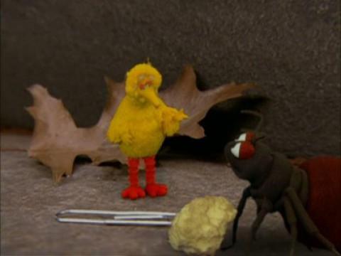 The Adventures of Little Big Bird (1)