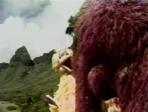 Search for the Snuffleupagus Mountain