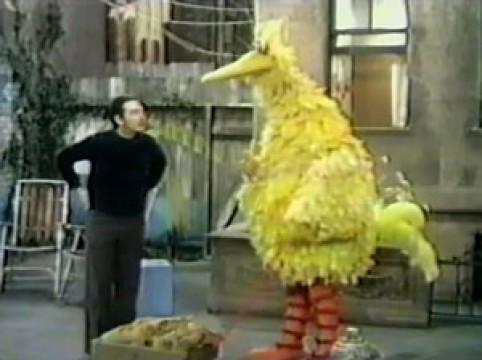 Big Bird Moves Birdseed to His Nest