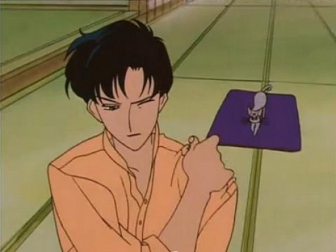 Protect Mamoru: Ninja Usagi's Jealousy