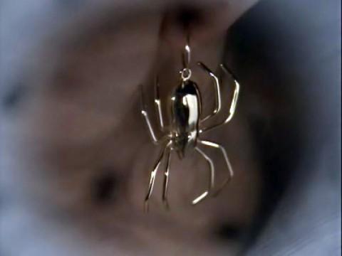 The Golden Spiders