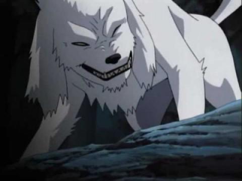 Une longue journée pour Kiba Inuzuka