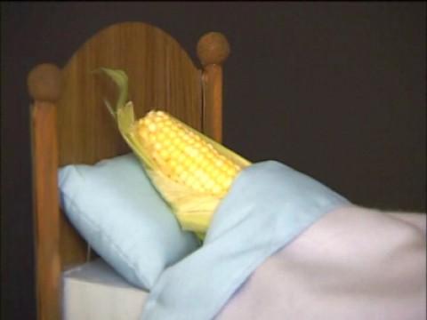 Q&A: What Does Corn Dream About?