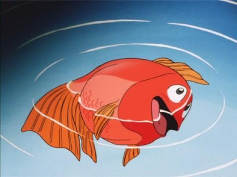 Kimagure Orange Road: I Was a Cat, I Was a Fish