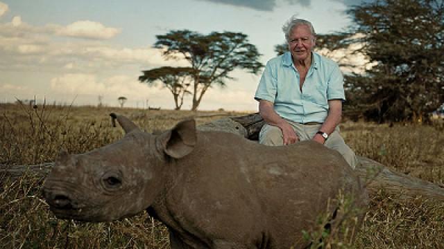 Attenborough at 90: Behind the Lens
