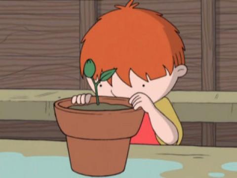 Get Growing!
