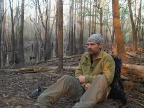 Canadian Boreal Forest