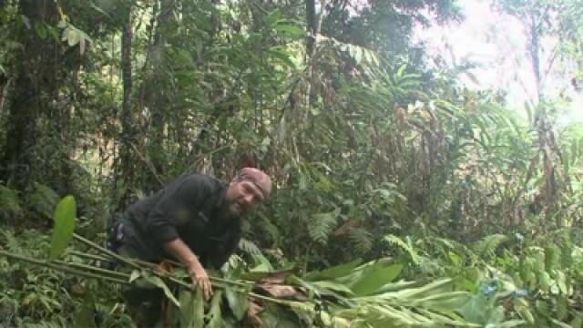 Papua New Guinea