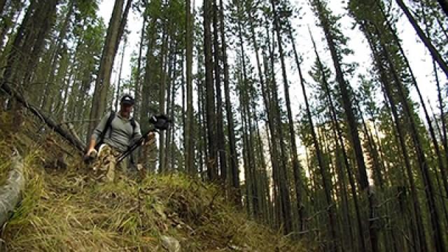 Survivorman Bigfoot: Mystery of Bigfoot Mountain