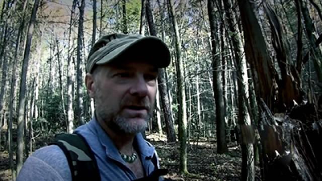 Survivorman Bigfoot: Smoky Mountain Sasquatch