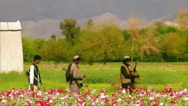 Afghanistan: Drugs, Guns and Money