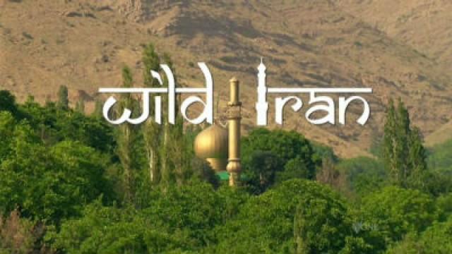 Wild Iran