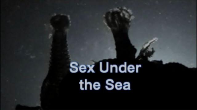 Sex Under the Sea