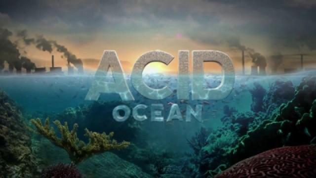 Acid Ocean