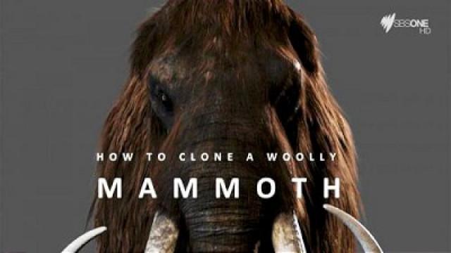 How to Clone a Woolly Mammoth