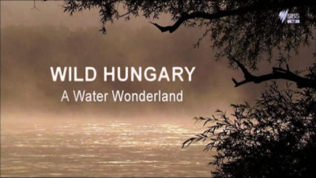 Wild Hungary - A Water Wonderland