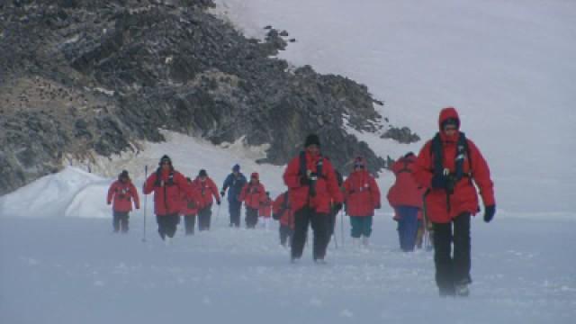 Cruising Antarctica