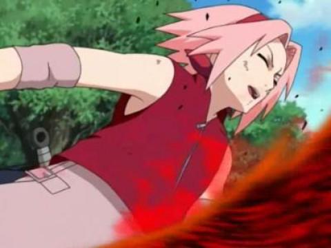 Les Larmes de Sakura